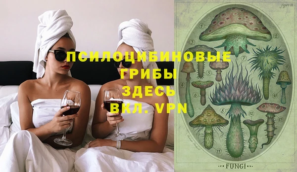 ALPHA-PVP Няндома